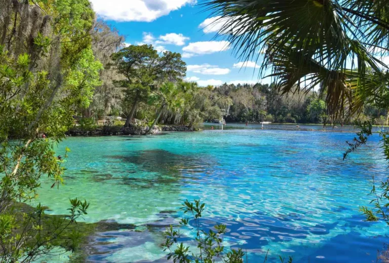 hotels in ocala near the World Equestrian Center in Ocala and the Silver Springs State Park