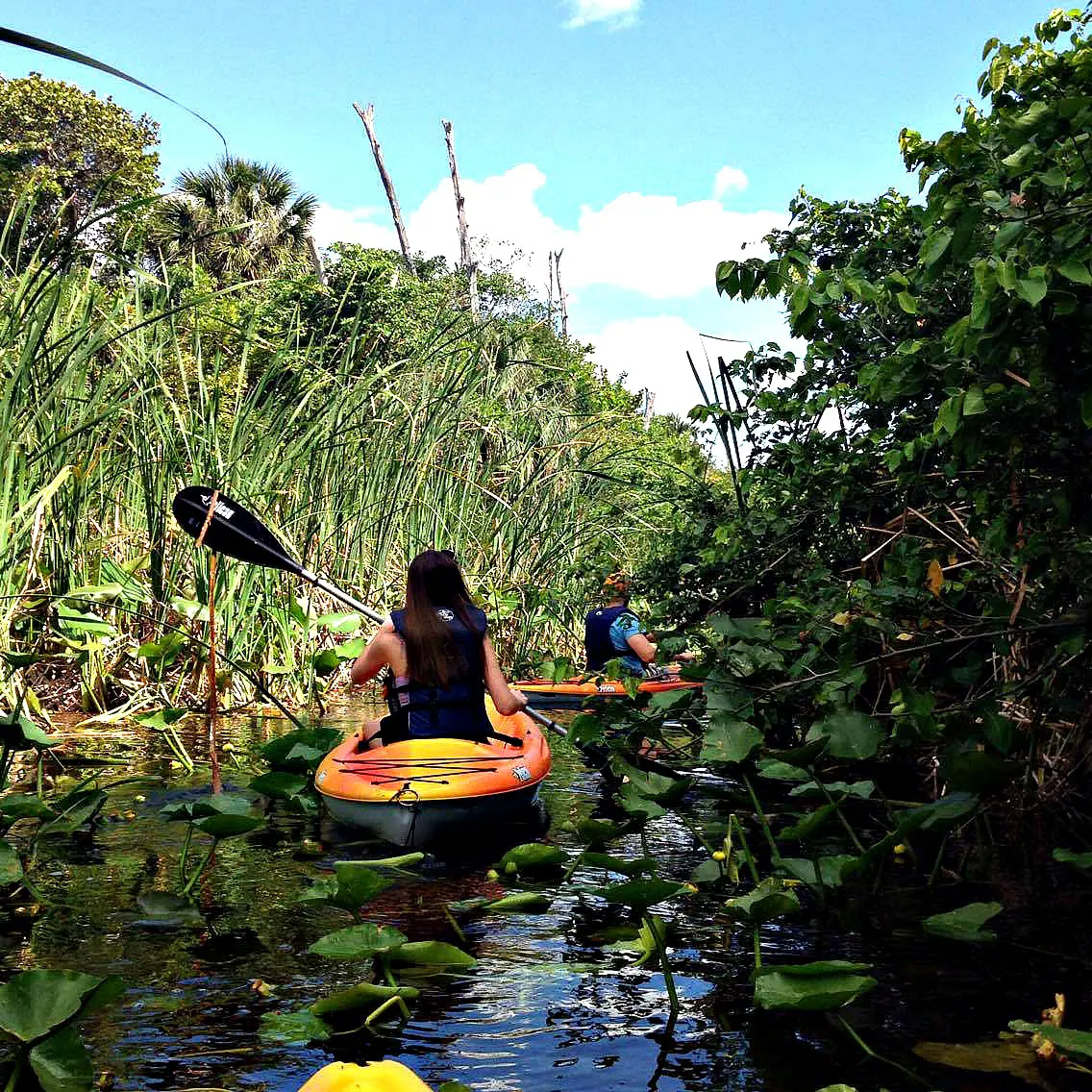 Things To Do in Fort lauderdale this Week Aug 18th
