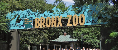 hotels near the bronx zoo