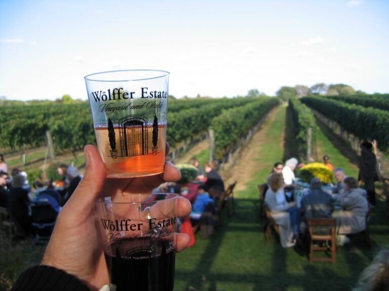 Wölffer Estate Vineyard & tasting room